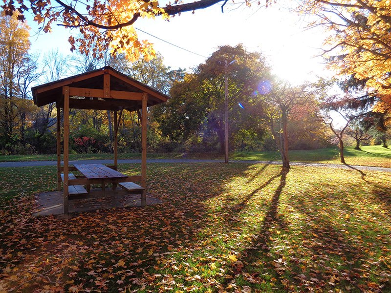 Friendship Island Park